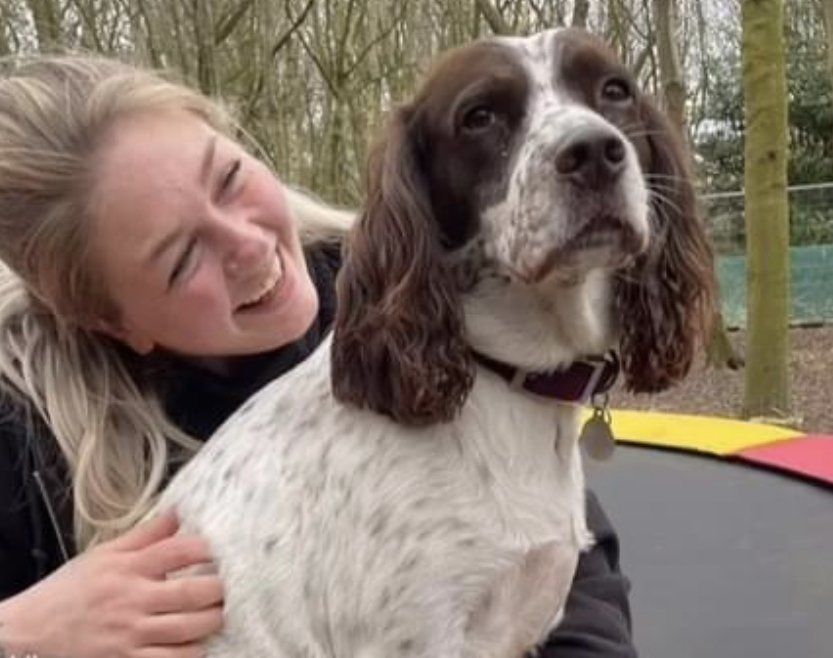 Dogs and Divas Doggy Day Care Trafford Park, Manchester