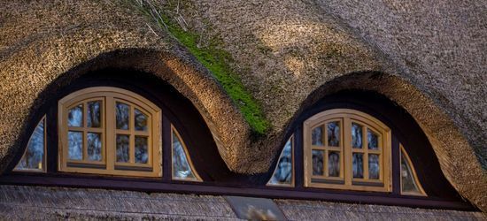 Twee boogramen in het rieten dak.