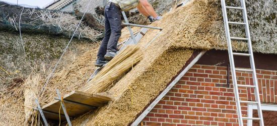 Persoon die een dak met riet bedekt, werkt op een houten steiger. Een ladder leunt tegen de bakstenen muur van het gebouw.