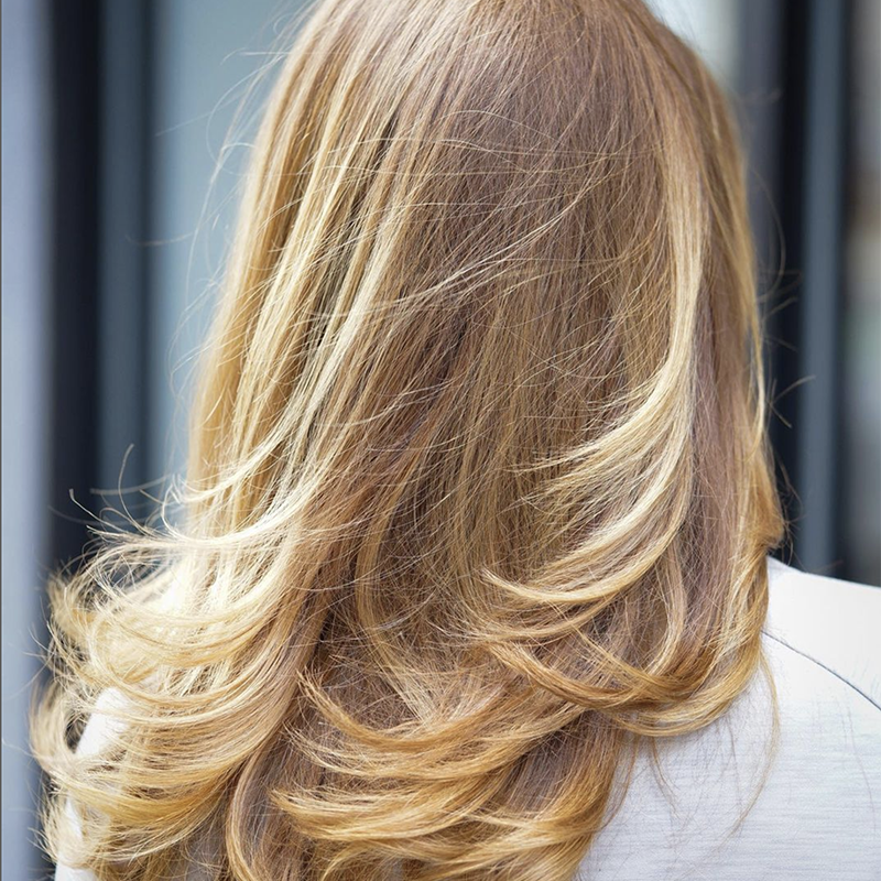 Natural Blonde Highlights