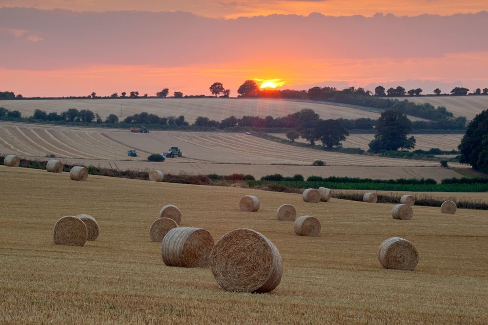 Wedding Photographer Cotswolds