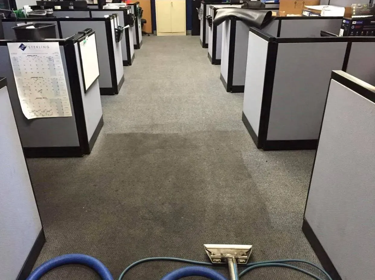 Office Carpet Cleaning — Gladstone, MO — Global Pros Services LLC
