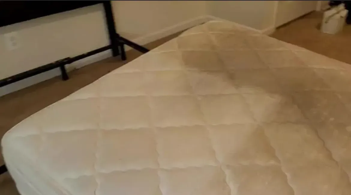 Mattress Cleaning — Gladstone, MO — Global Pros Services LLC
