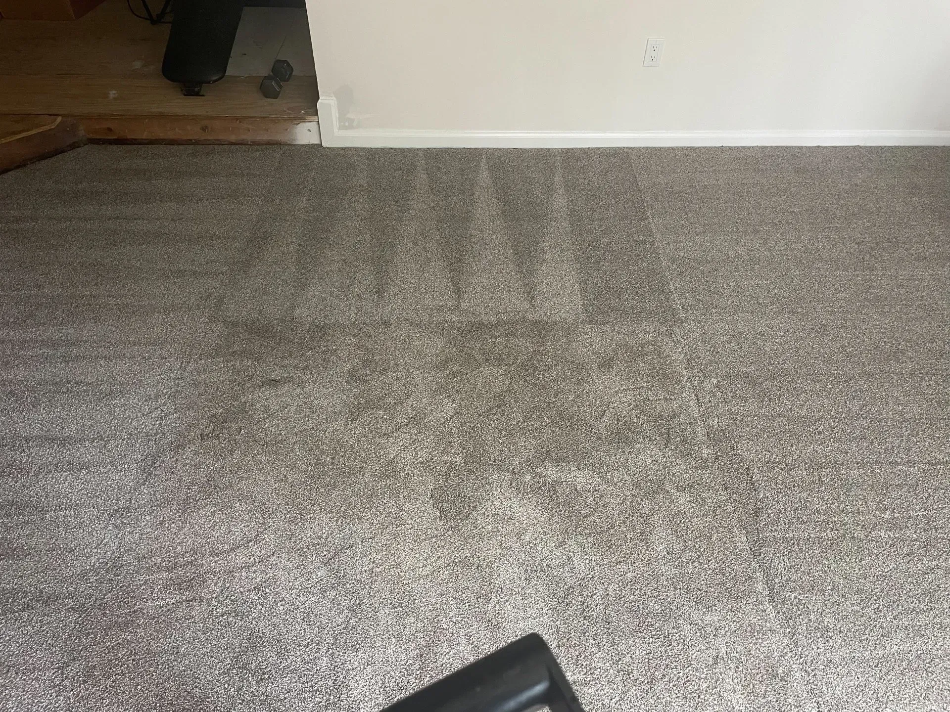 Cleaned Carpet — Gladstone, MO — Global Pros Services LLC
