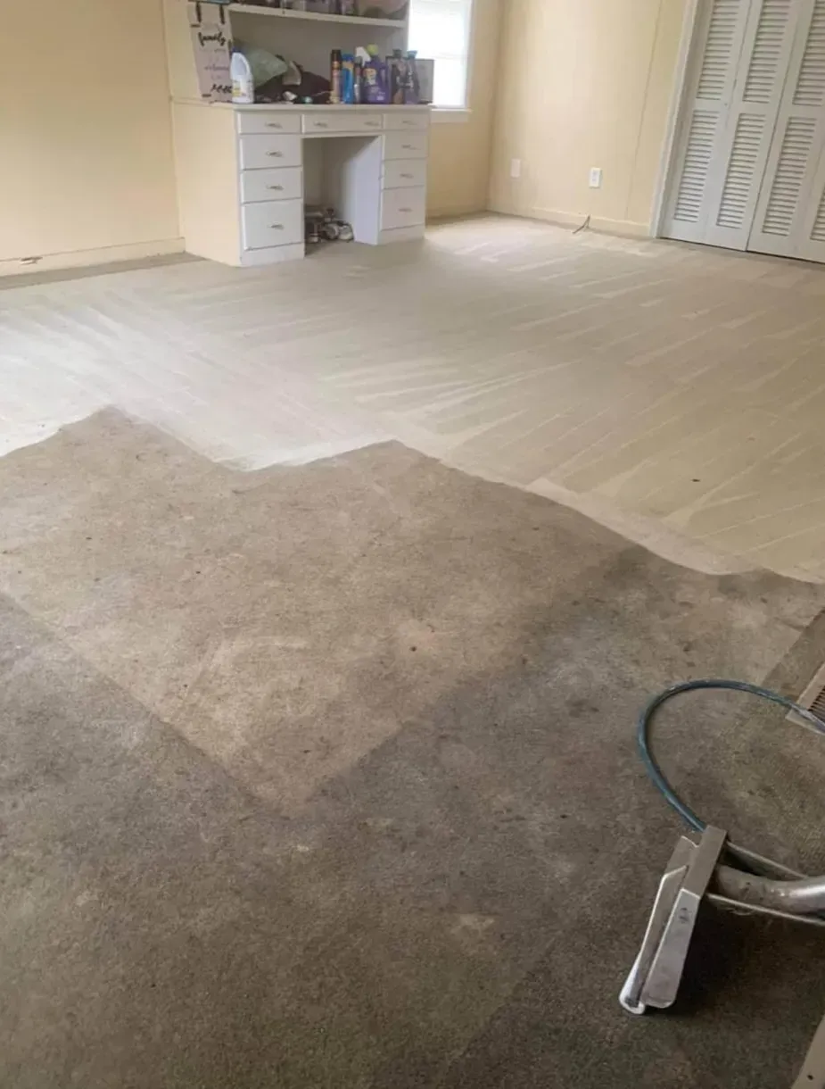 On Process of Carpet Cleaning — Gladstone, MO — Global Pros Services LLC