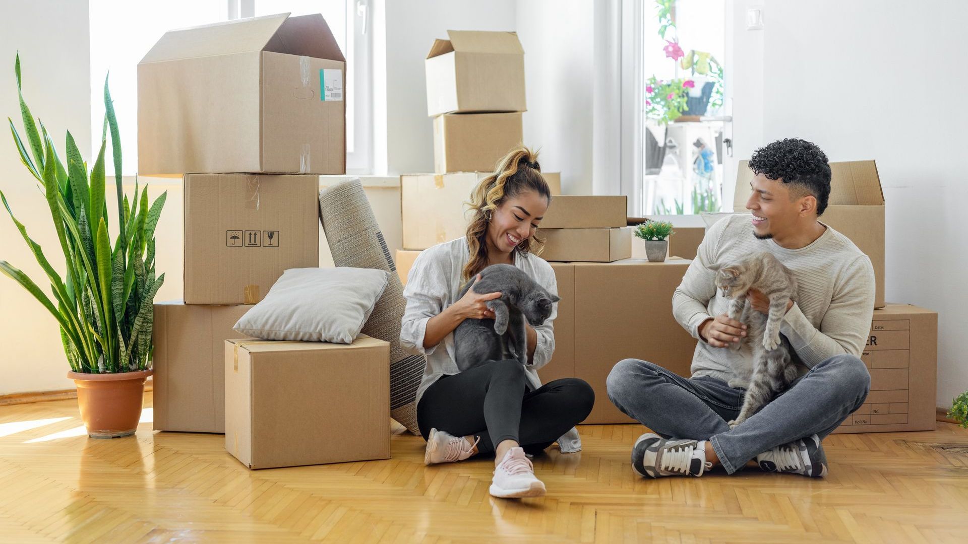 a man and a woman sit on the floor with their cats in front of moving boxes