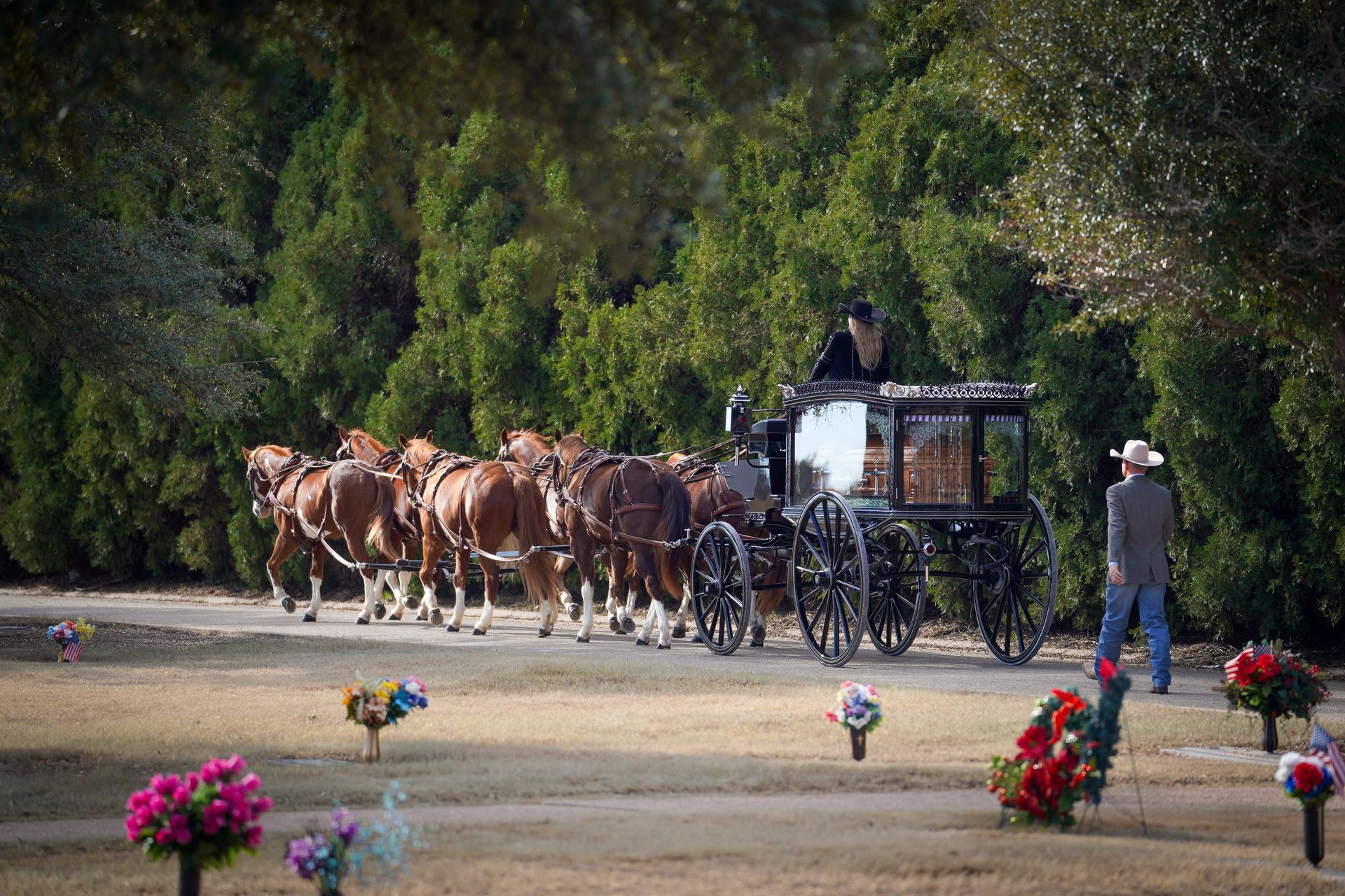 horse-drawn hearse