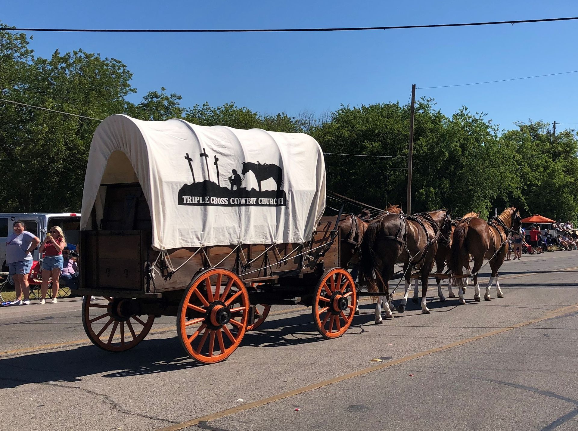 Horse-Drawn Carriage | Benbrook, TX | 817-249-2490