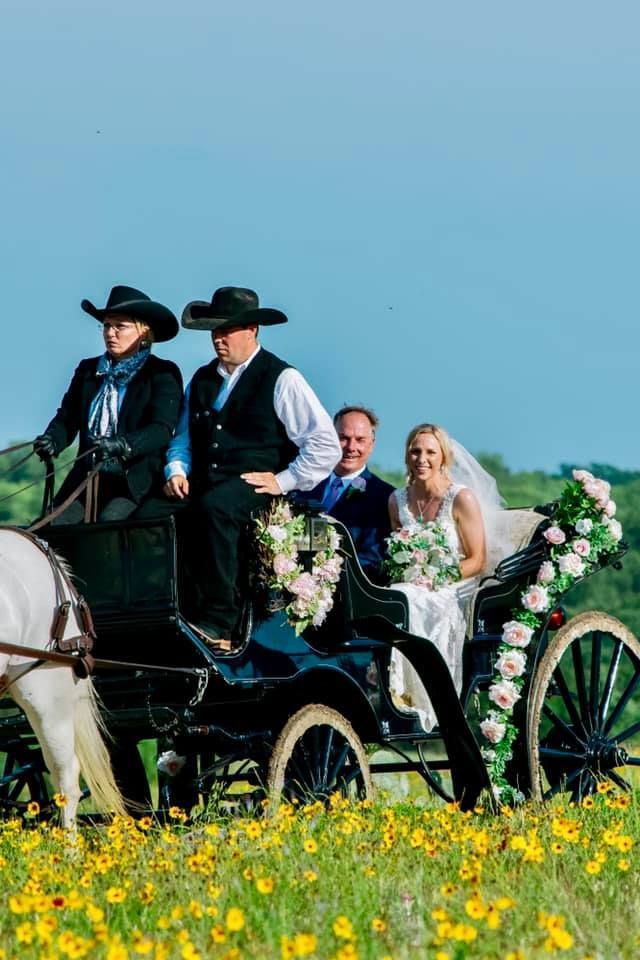 horse drawn carriage wedding photo