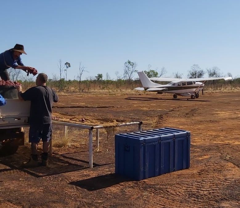 Two men loading a truck with produce near a small plane on a dirt airstrip under a blue sky.