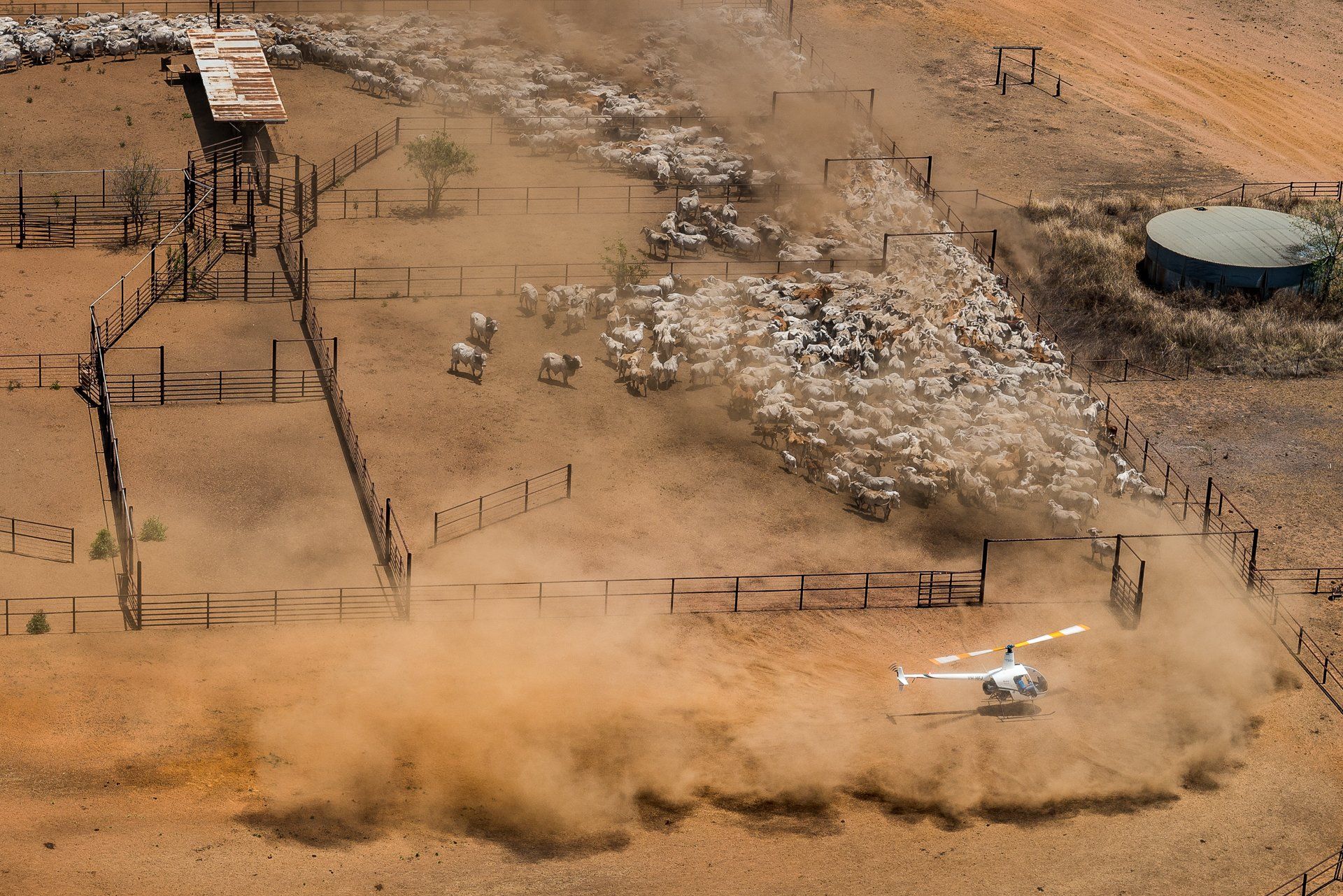 Helicopter herding sheep into a pen on dusty land. Wooden structures and a water tank are visible.