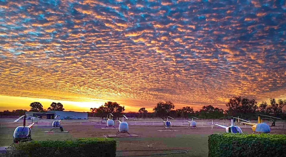 Helicopters on a field with a sunset sky, orange clouds above trees.