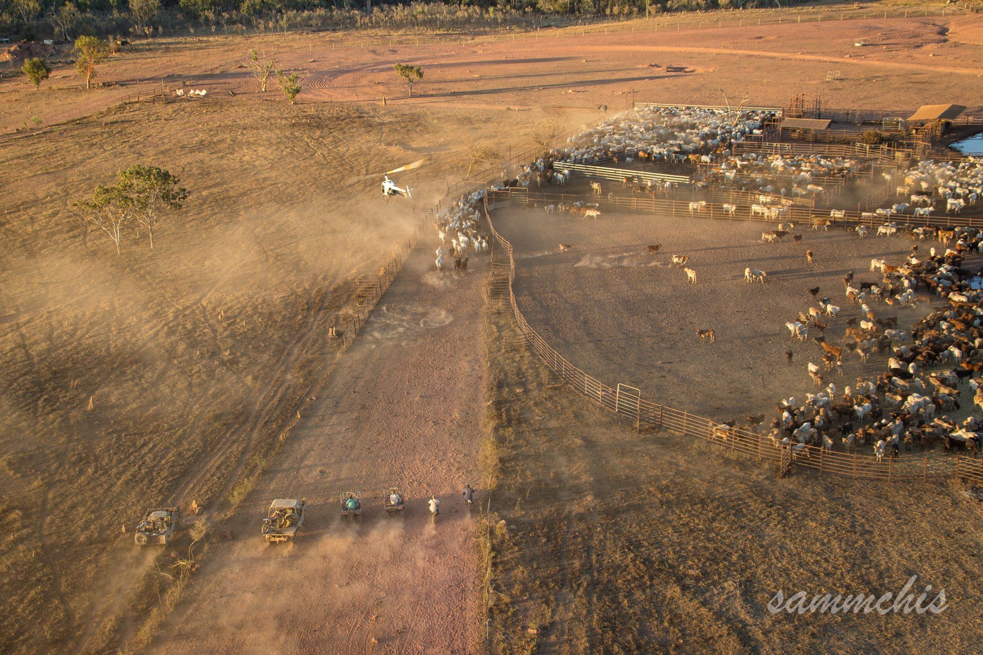 Heli-Muster NT | Aerial Mustering Specialists