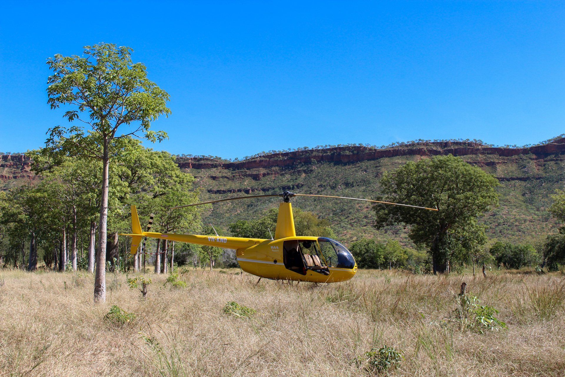 Yellow helicopter lands in a field, trees in the background with a mountain range under a clear blue sky.