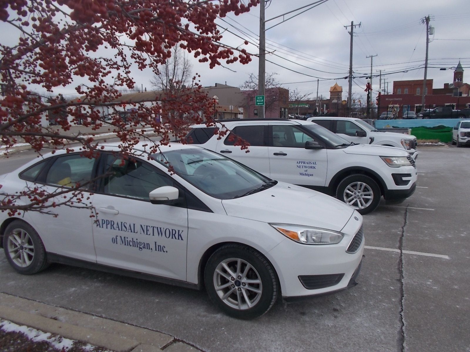 A row of white cars are parked in a parking lot