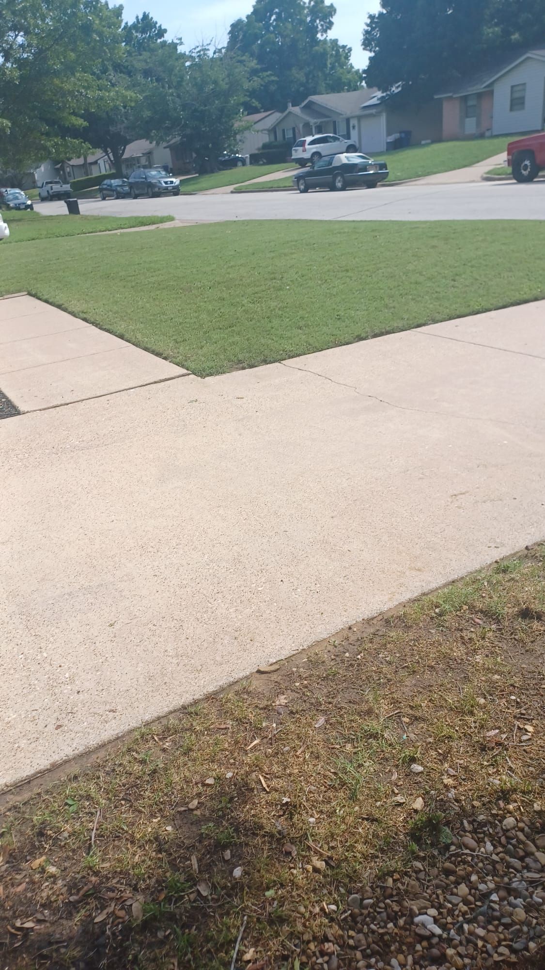 A sidewalk leading to a lush green lawn in a residential neighborhood.