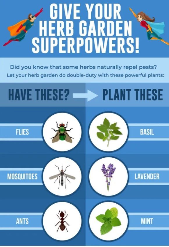 Give Your Herb Garden Superpowers!