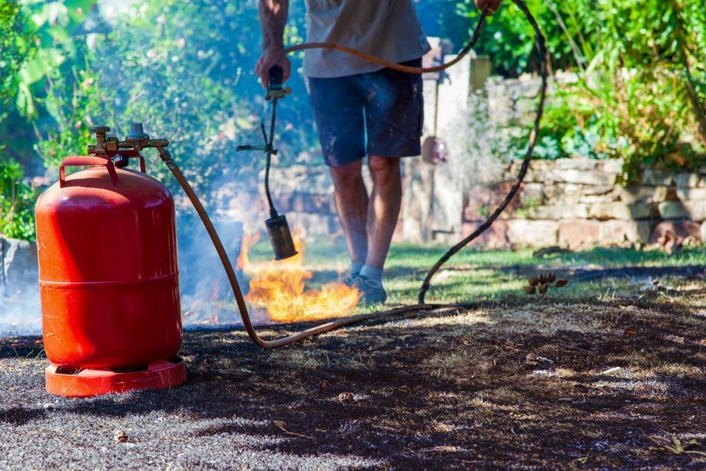 Person using a propane torch to burn weeds in a yard, red tank visible, flames.
