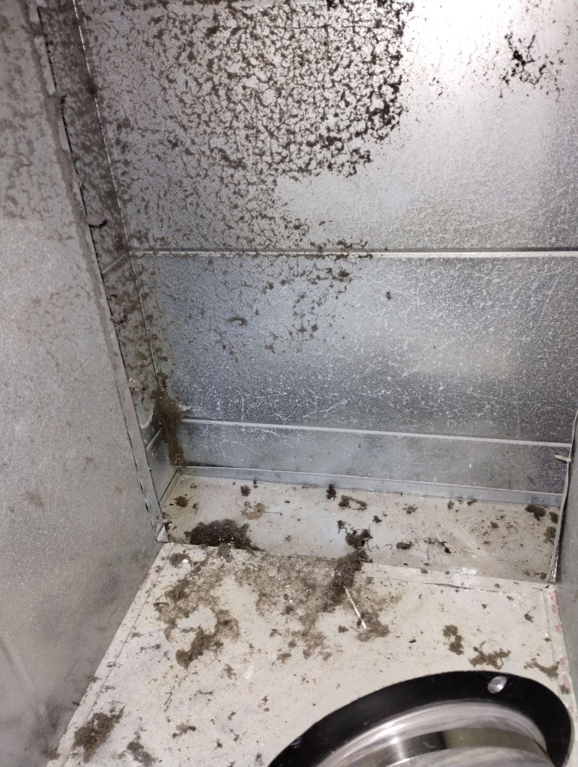 A dirty room with a lot of dust on the floor
