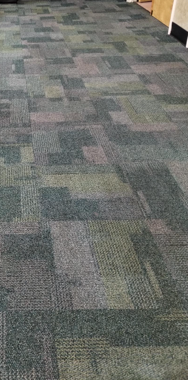 A close up of a carpeted floor in a room