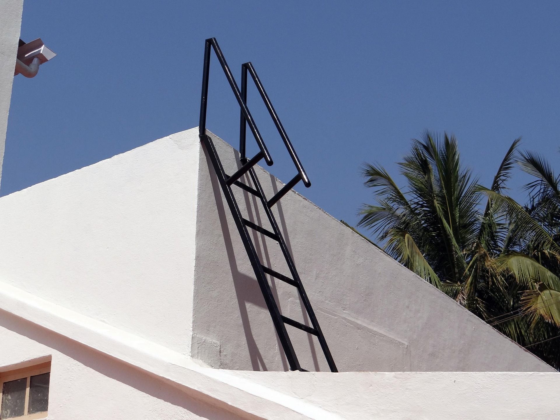 Black ladder leaning against a white rooftop beside palm trees under a blue sky