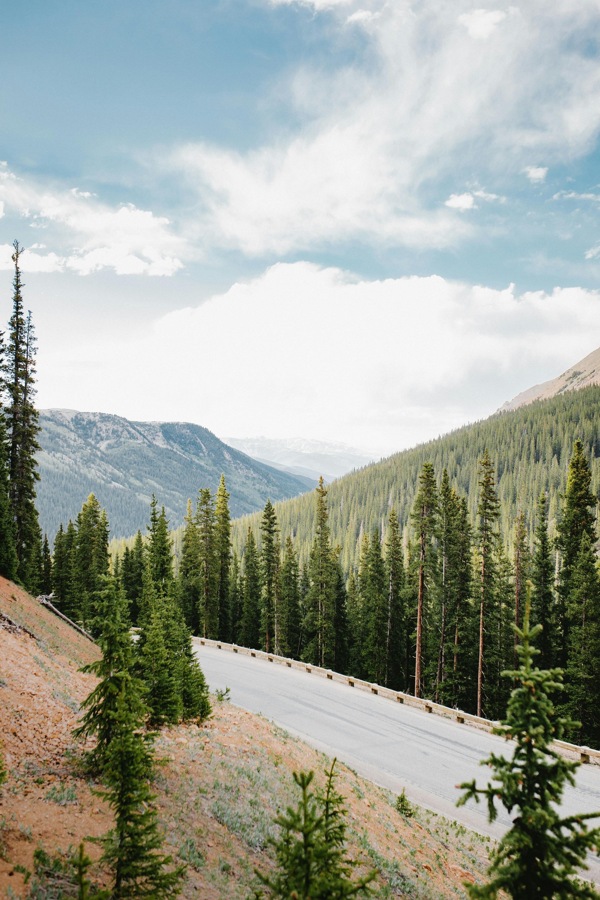 A paved road curves through a mountain landscape with evergreen trees and a rocky foreground under a blue sky.