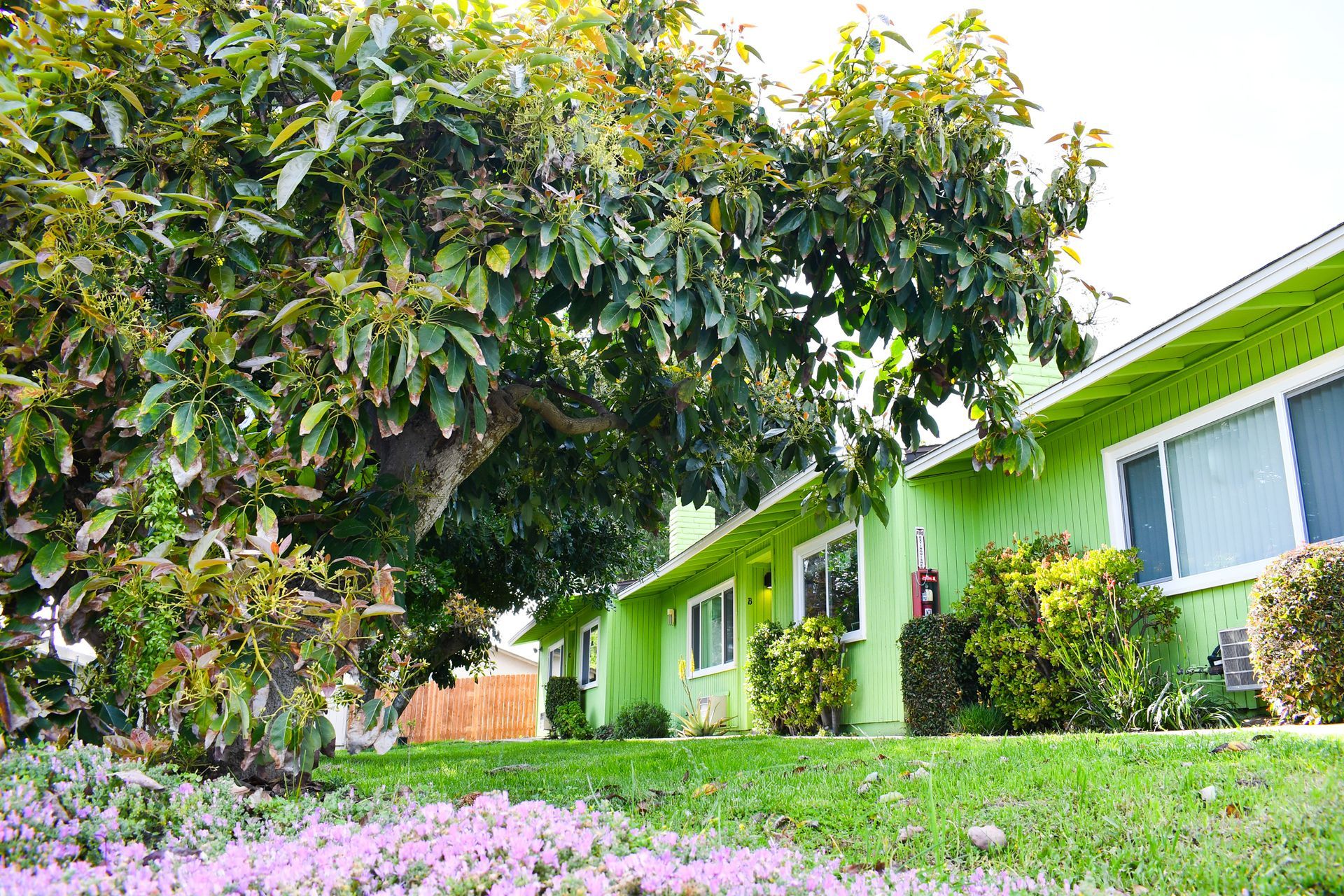 Westfall Village Photo Gallery