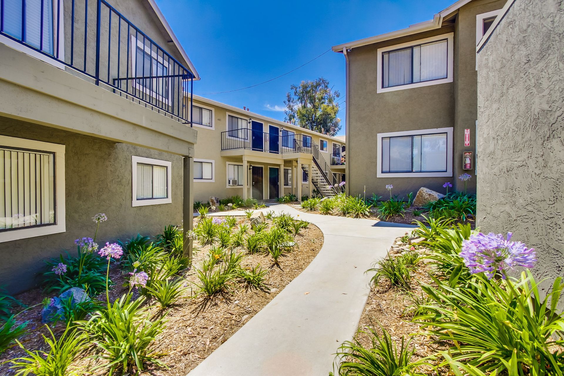 Arroyo Vista