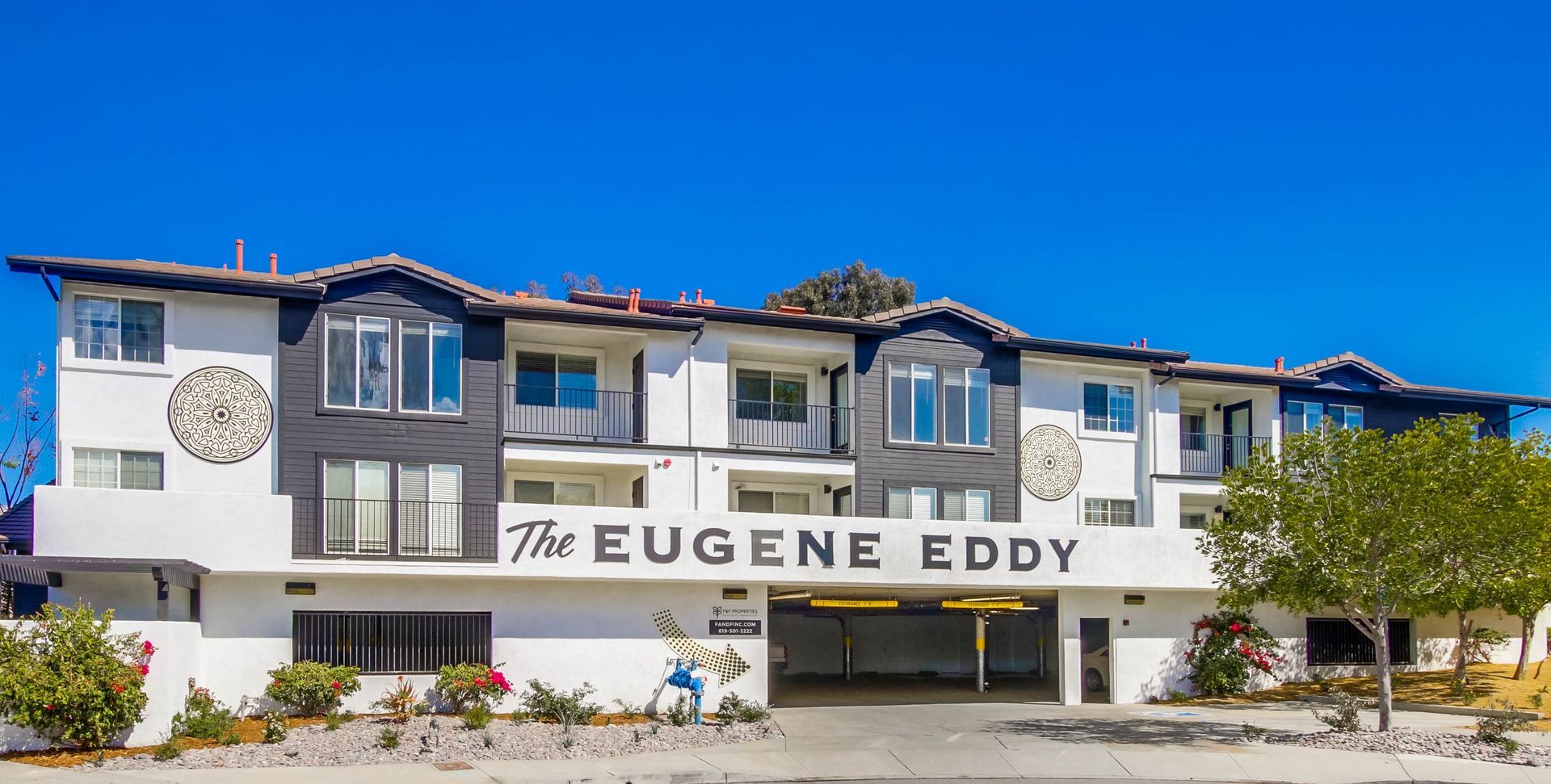 Eugene Eddy