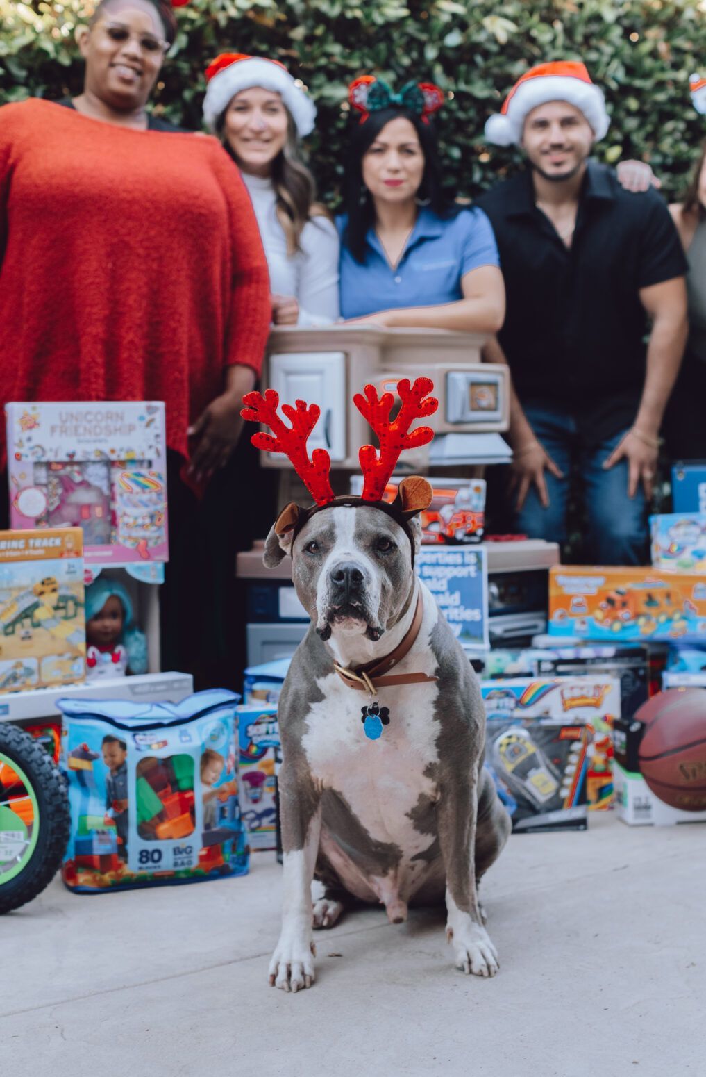 F&F Properties holiday toy drive dog in reindeer costume