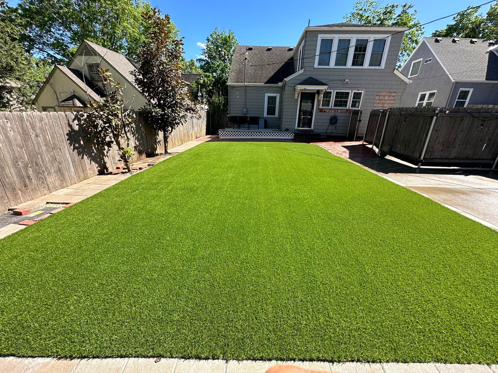 Two dogs are sitting on a green artificial turf lawn.