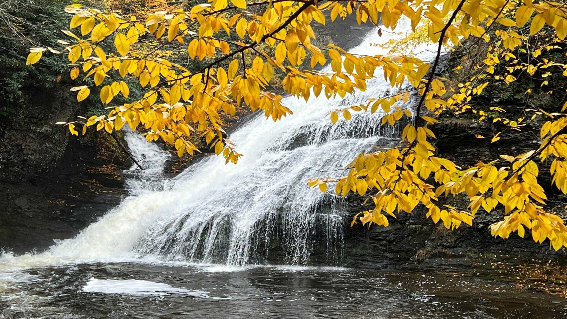 a waterfall in the middle of a forest with yellow leaves .
