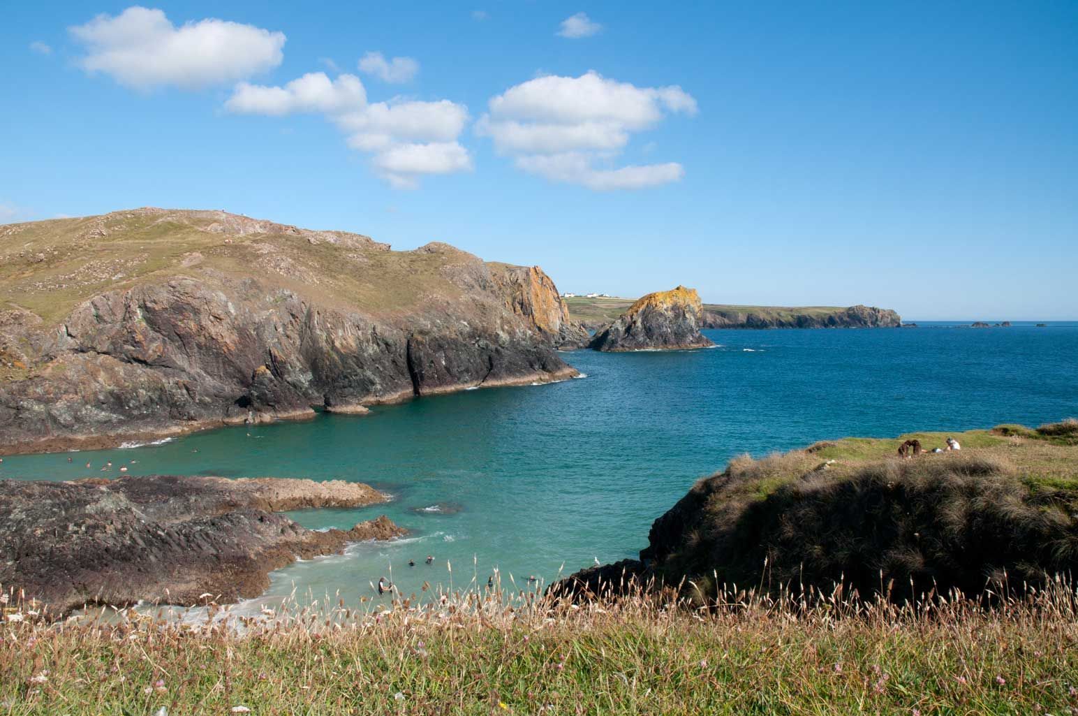 Enjoy walking on the South West Coast Path from Coverack in Cornwall.