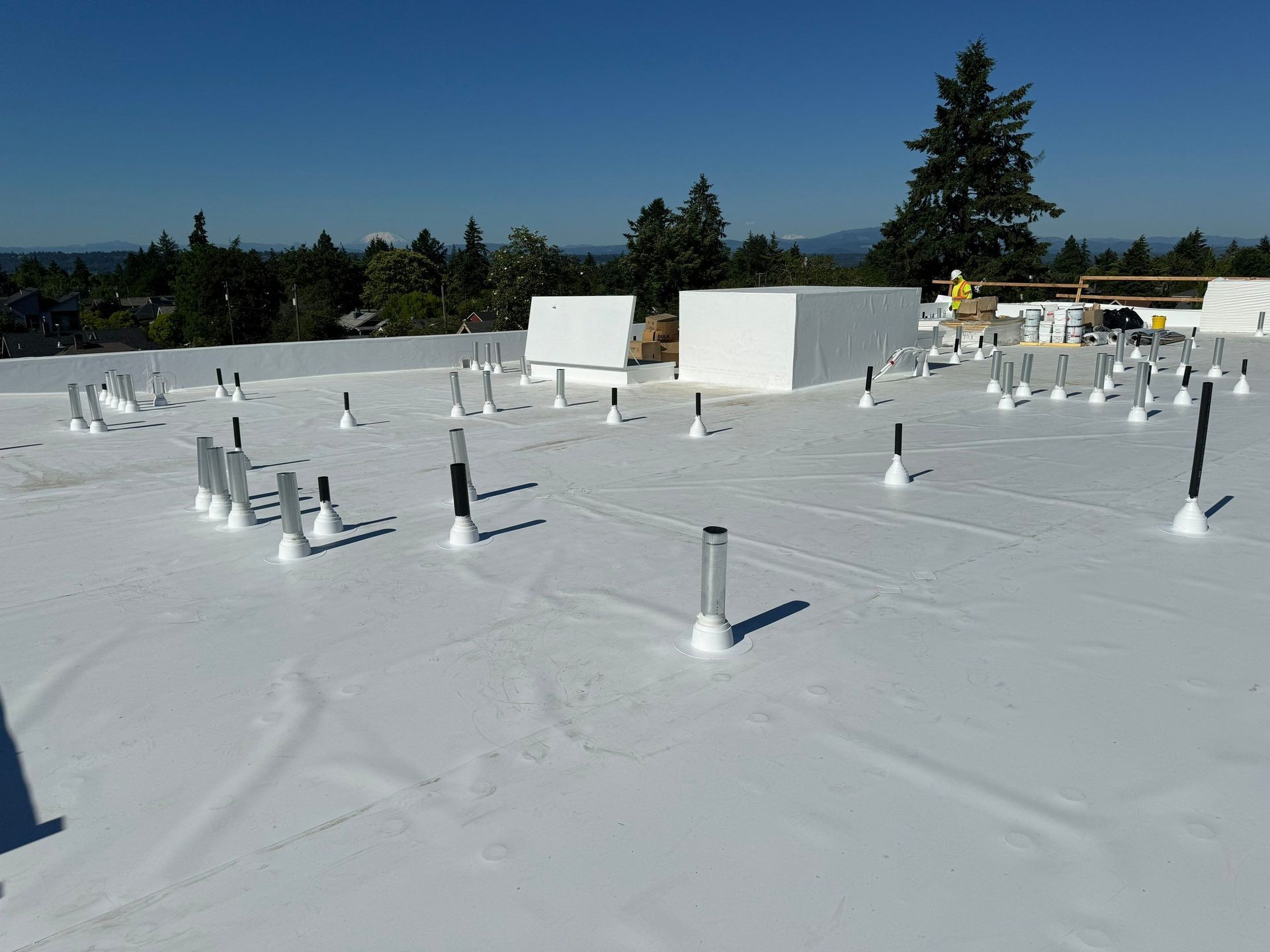 Flat white roof with numerous vents, against a clear blue sky, and surrounding trees.