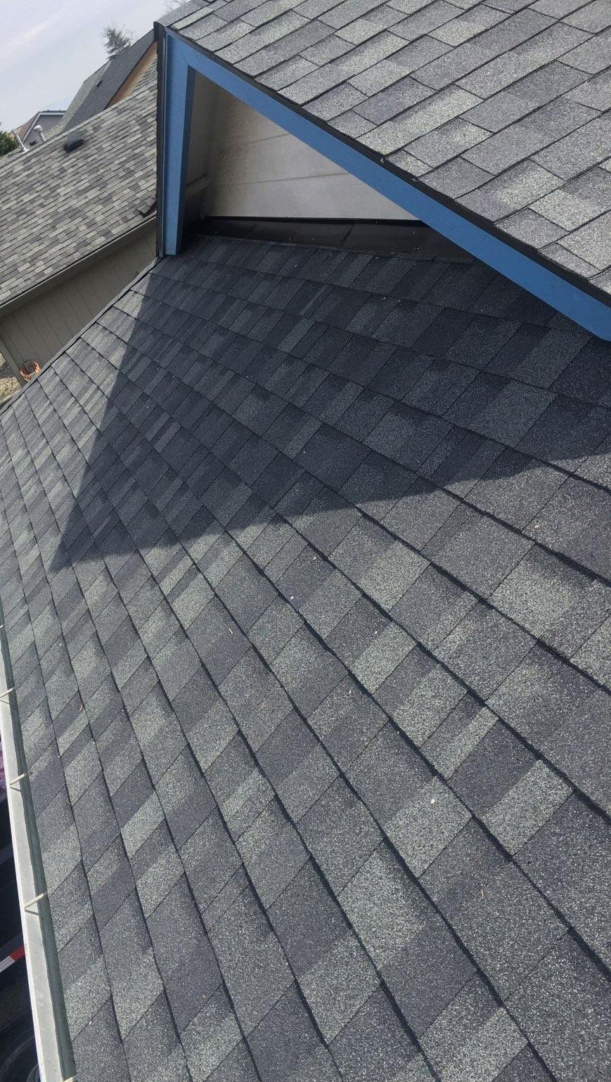 Newly shingled roof with dark gray shingles and blue trim. Dumpster with pink insulation sits below.