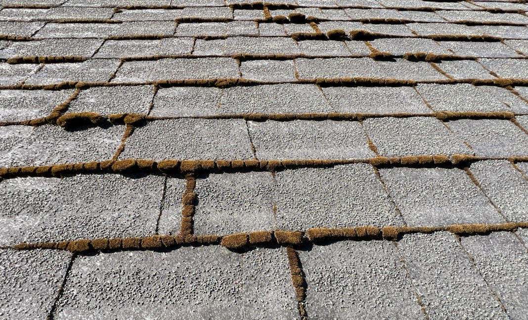 Gray asphalt roof shingles with brown moss and algae.