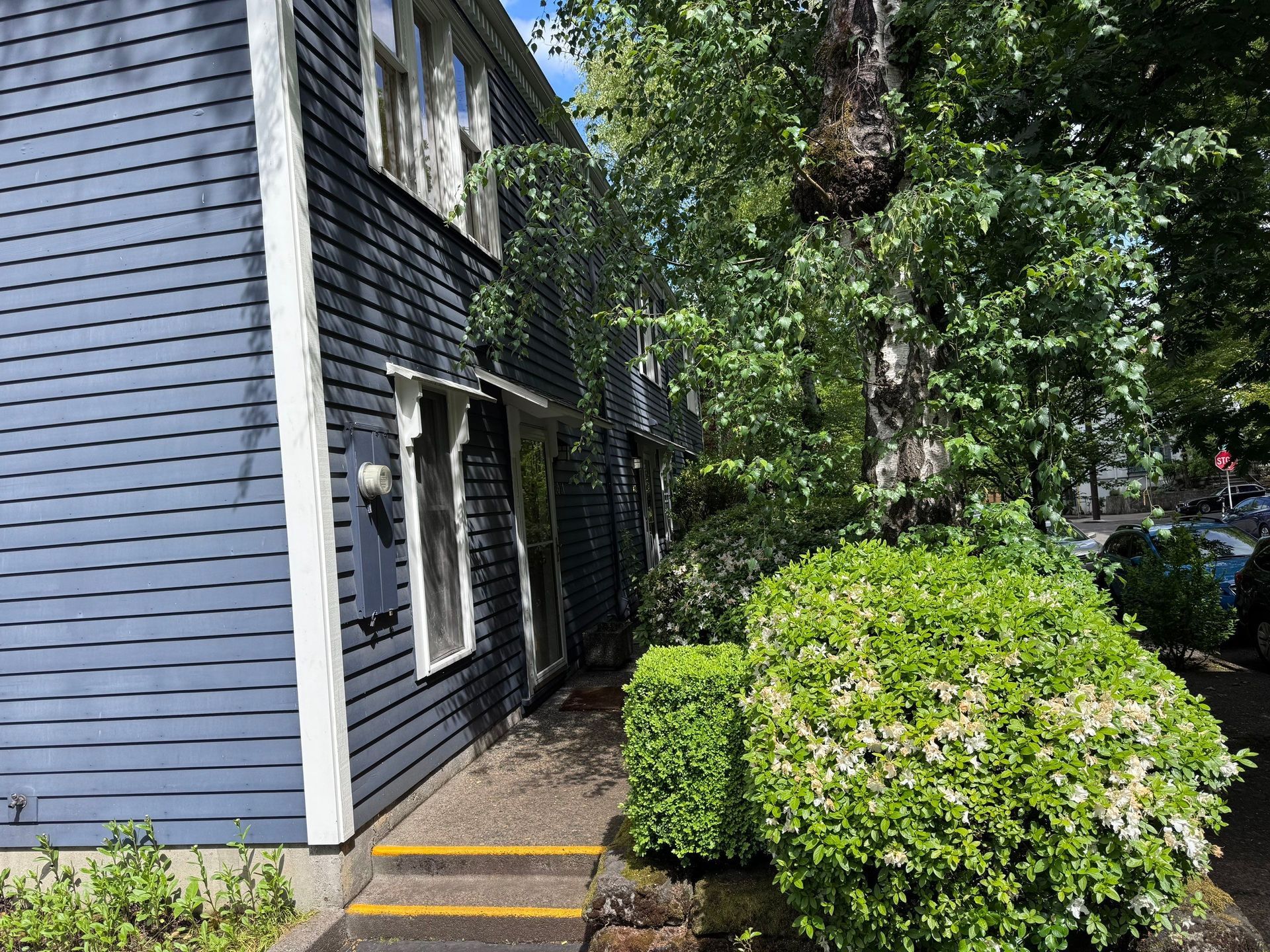 Dark blue house with white trim, steps, and green bushes along the side.
