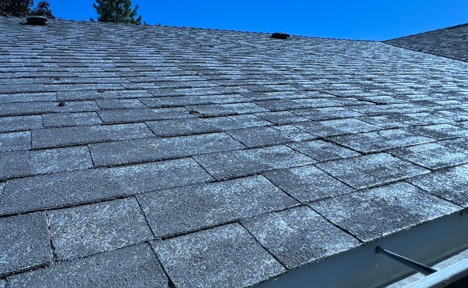 Blue ladder leaning against a gray asphalt shingle roof with a white gutter under a blue sky.