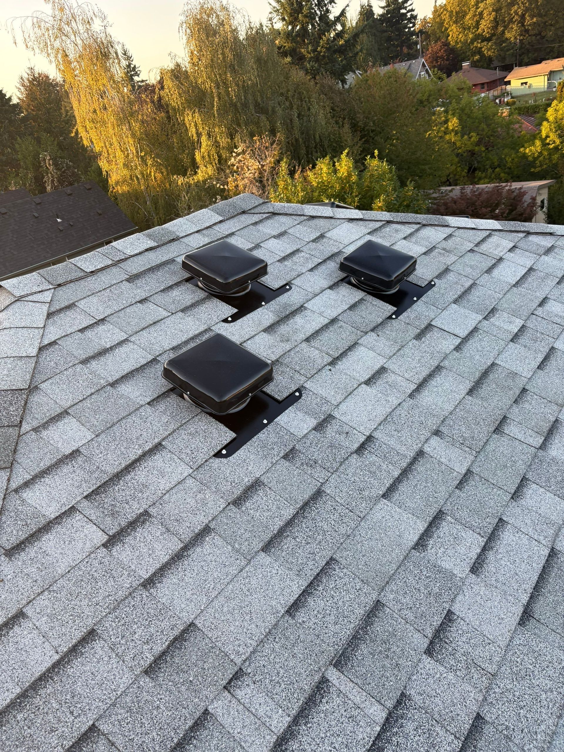 Gray asphalt shingle roof on a house with a gutter and surrounding greenery.