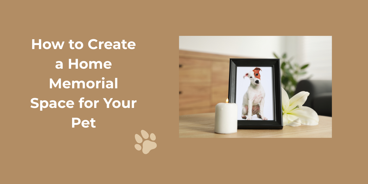 pet memorial, photo of pet