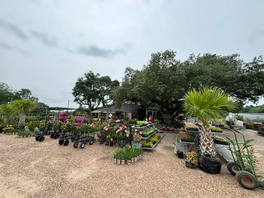 A garden center filled with lots of potted plants and trees.