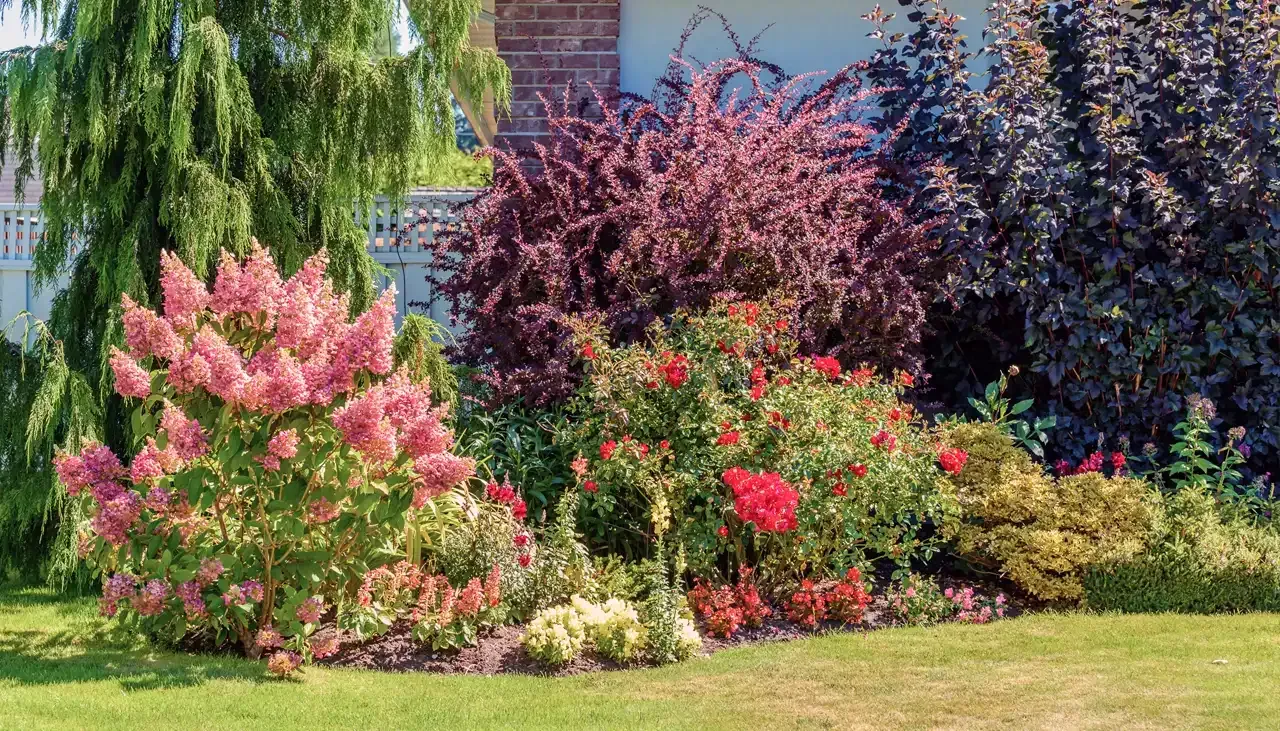 How to Revive Your Landscaping for the Spring Post blog image