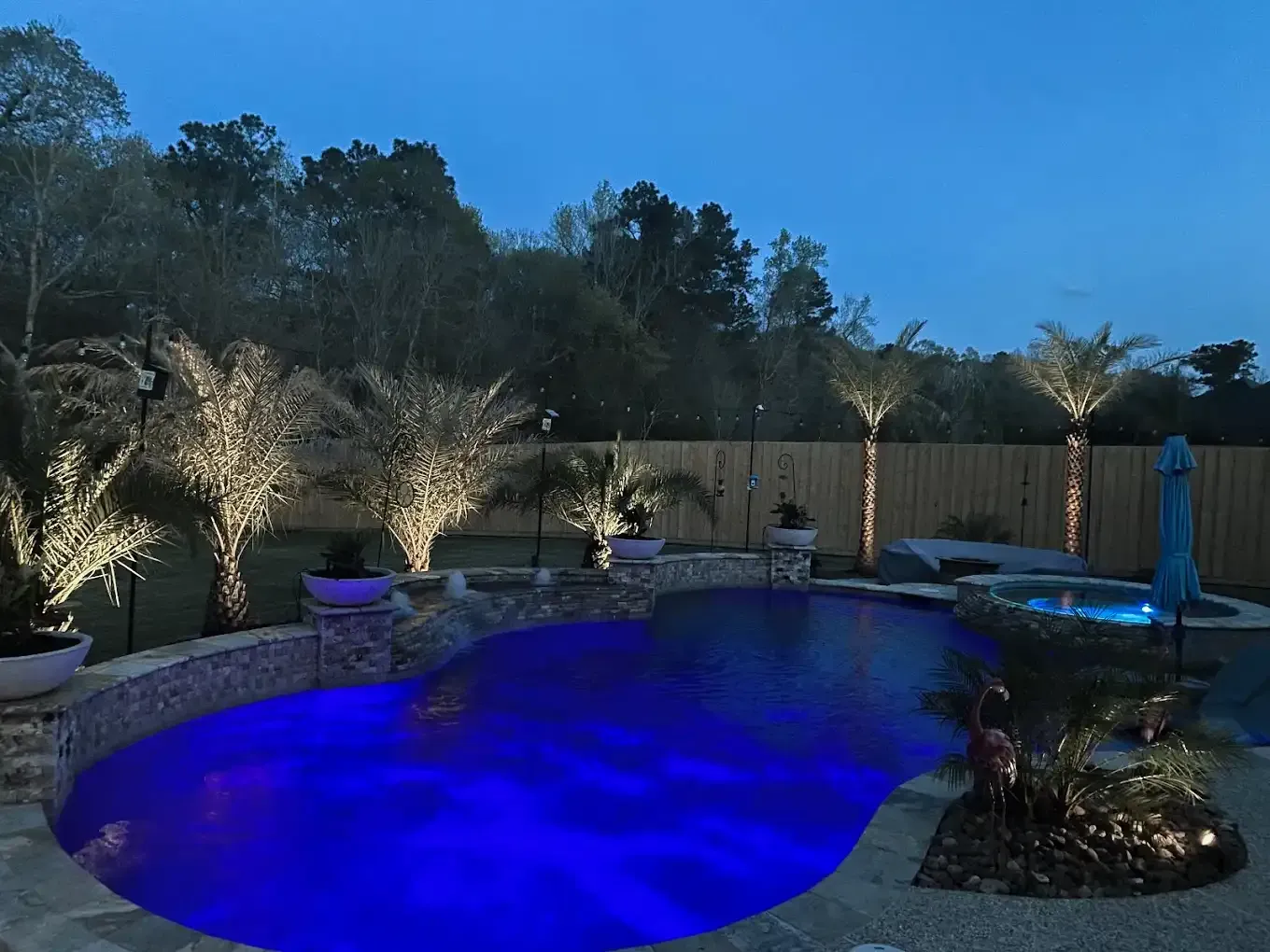 A large swimming pool is lit up at night with blue lights surrounded by palm trees.