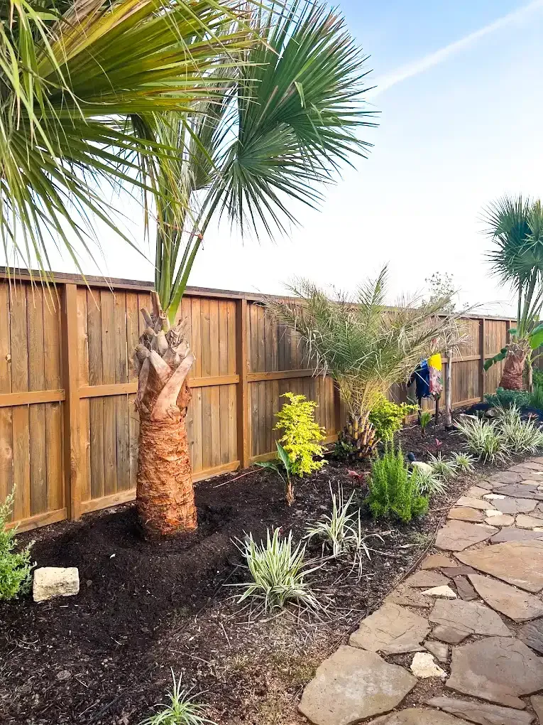 A wooden fence surrounds a garden with palm trees and a stone walkway.