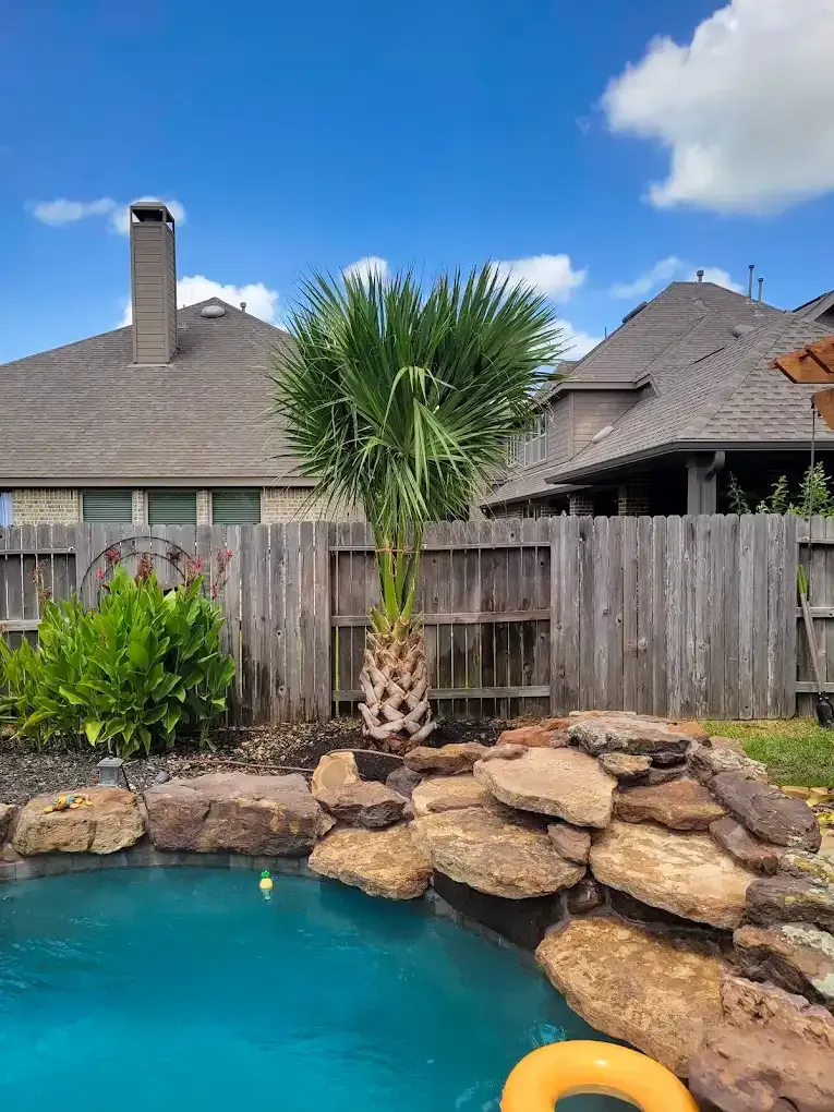 A swimming pool with a palm tree in the middle of it.
