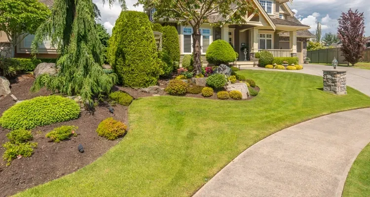 House with landscaped front yard; curved walkway, green grass, and various shrubs and trees.