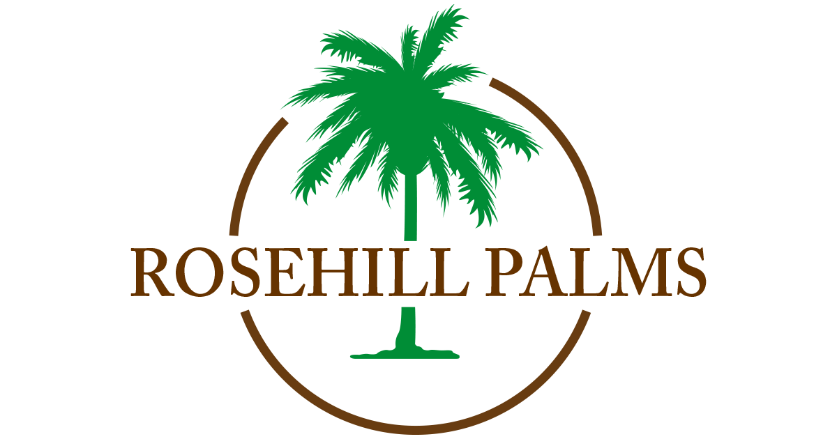 Rosehill Palms Opengraph image