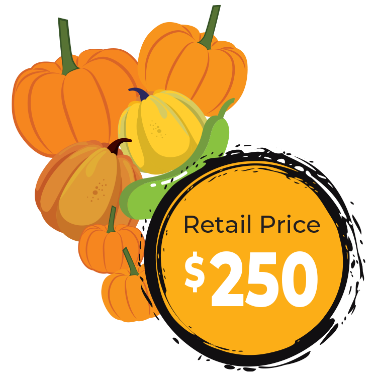 Rosehill Palms Pumpkin Harvest Starter package image and price