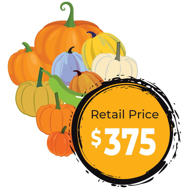 Rosehill Palms Pumpkin Autumn Delight package image and price