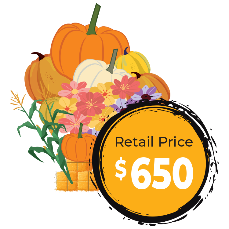 Rosehill Palms Pumpkin Paradise package image and price